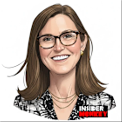 Hedge Funds Were Loading Up On This Cathie Wood Stock For 2026