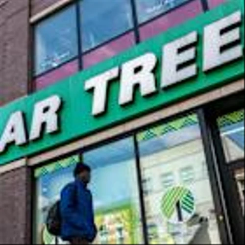 Dollar Tree Swings to Profit, Issues Cautious Forecast