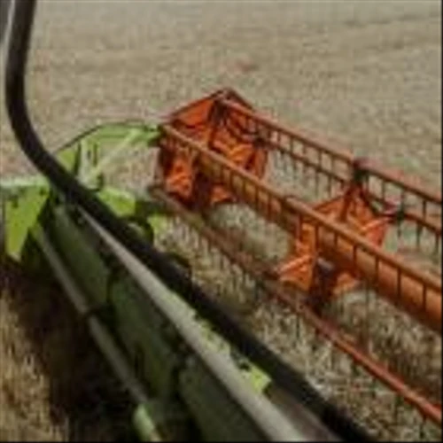 Bioceres’ GMO Wheat Is Safe for Production, US Says