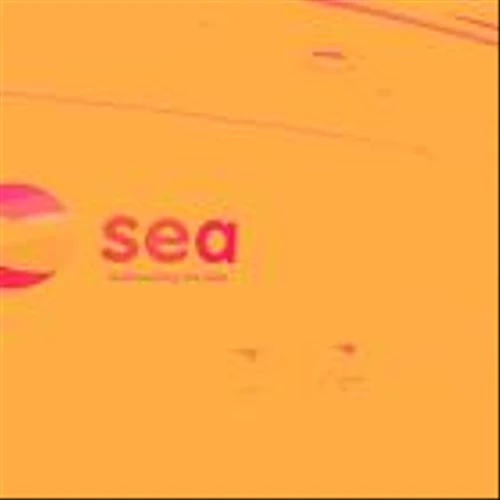 Online Marketplace Stocks Q3 Results: Benchmarking Sea (NYSE:SE)