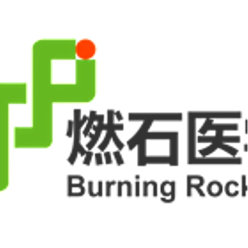 Burning Rock Announces Results of 2025 Annual General Meeting