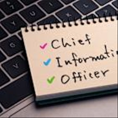 Hamilton Insurance names new chief information officer
