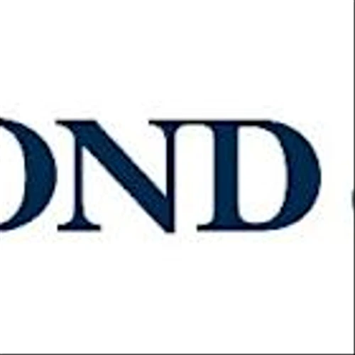 Raymond James Hires David Solganik as Head of AI Strategy
