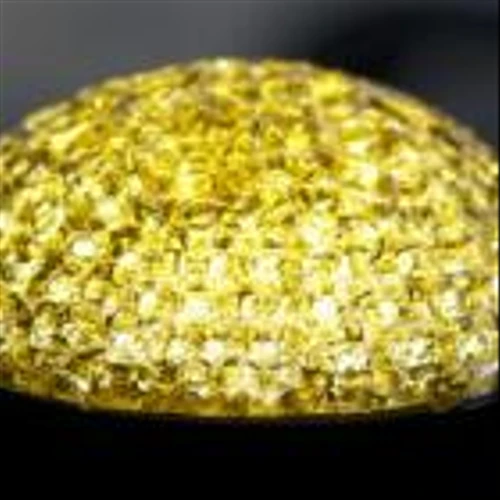 CollPlant Biotechnologies Begins Preclinical Trial with Commercial-Size, Regenerative Breast Implants