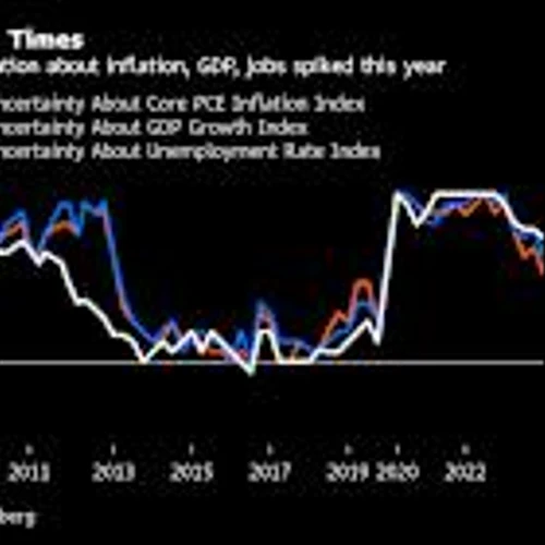 Stock Market’s Path Depends on Fed’s View of What We Don’t Know