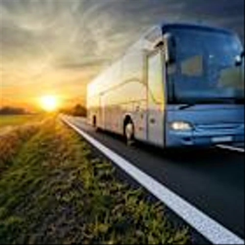 Travelers hit by transportation company Chapter 11 bankruptcy