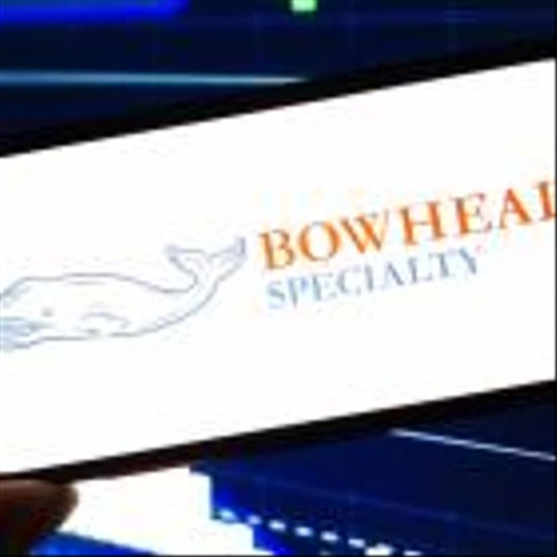 IPO Stock Of The Week: Insurance Leader Bowhead Rebounds From Critical Level