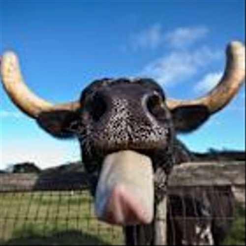 Dow Jones Futures Rise, Nasdaq Eyes Key Level; Tesla, Amazon, Defense Firms In Focus