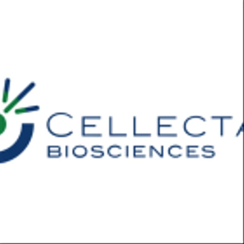 Cellectar Biosciences Stock Plunges As Cancer-Focused Cancer Firm Pursues Strategic Options