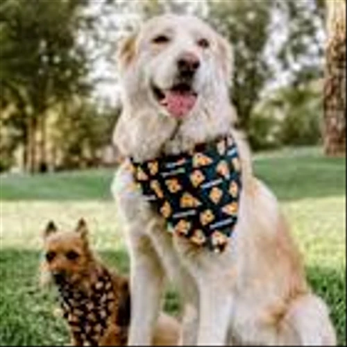 Home Run Inn Serves Up Holiday Cheer with Pizza-Inspired Gift Ideas for Every Fan