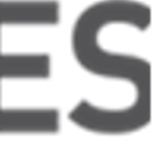 Foresight Collaborates with One of the World’s Largest Electric Vehicle Brands