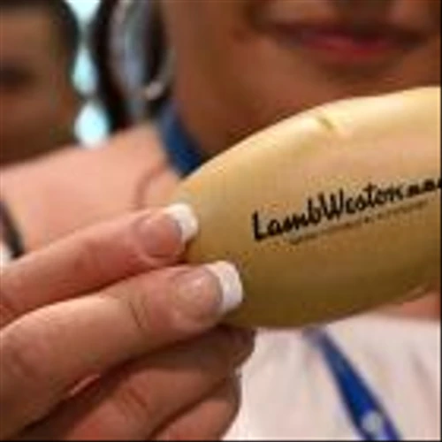 Lamb Weston Jumps on Report of Post Mulling Possible Deal