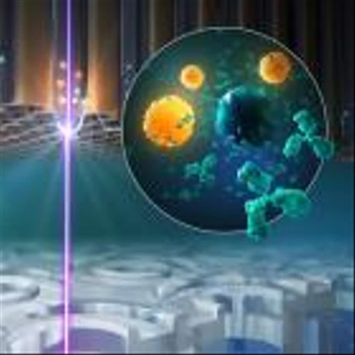 OmniAb Presents High-Throughput Single B-cell Screening xPloration® Data at the 20th Annual PEGS Boston Summit