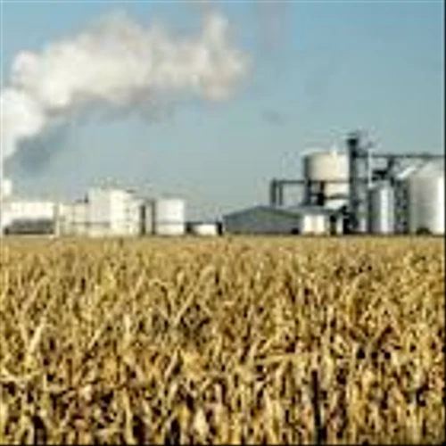 Bunge Stock Could Hit $134 by Year-End — JPMorgan Is Betting on It