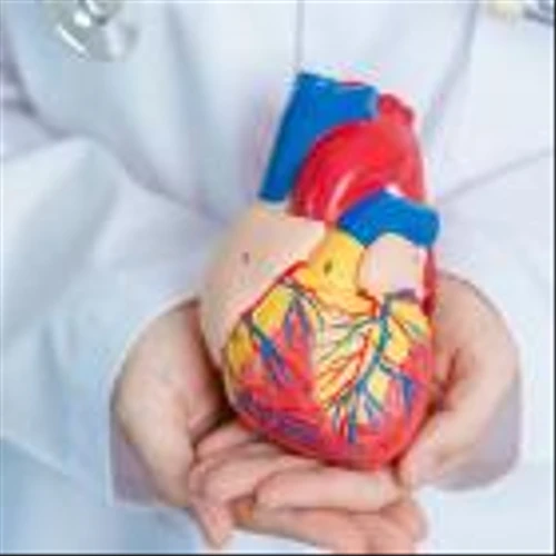 Lexicon partners Viatris for global expansion of sotagliflozin