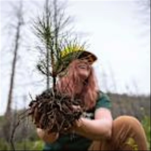 Dragonfly Energy Partners with the National Forest Foundation to Plant Thousands of Trees for Earth Day