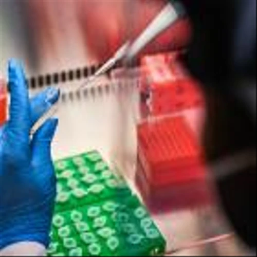 Drugmakers Metsera and Maze Raise Combined $415 Million in IPOs