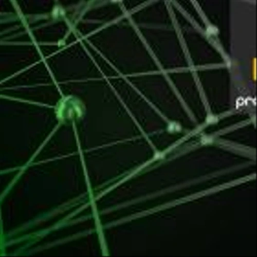 Combating Wire Fraud: Trust Stamp's New Solution for financial institutions