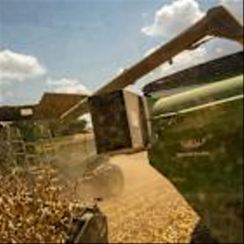 Five AI Value Stocks for Investors to Consider