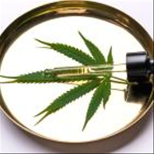 Recreational marijuana use will be on Florida's ballot in 2024