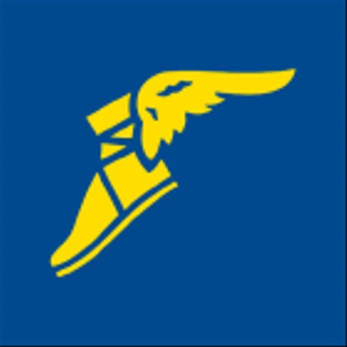 Goodyear Tire & Rubber Co (GT) Q4 2024 Earnings Call Highlights: Navigating Challenges with ...