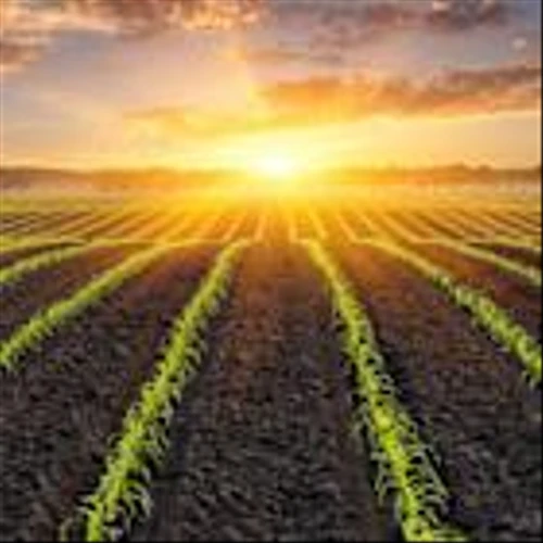 3 Top Fertilizer Stocks That Your Portfolio Must Have for 2026