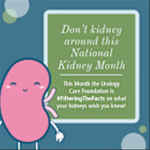 Don’t Kidney Around This National Kidney Month, Get the Facts Your Kidneys Wish You Knew