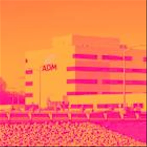 Archer-Daniels-Midland, Bunge Global, and Vital Farms Stocks Trade Down, What You Need To Know