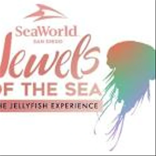SeaWorld San Diego Debuts a One-of-a-Kind Wonder: Jewels of the Sea - The Ultimate Jellyfish Experience!