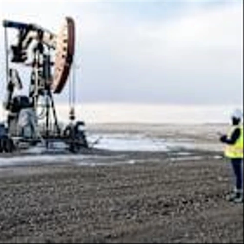 4 Dividend Stocks to Double Up On Right Now