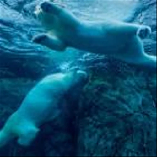 Bitcoin Careens Toward $100K as Morning Bounce Fails