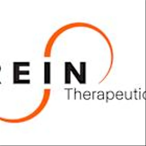 Rein Therapeutics Receives European Regulatory Approval to Initiate Phase 2 Trial of LTI-03 in Idiopathic Pulmonary Fibrosis