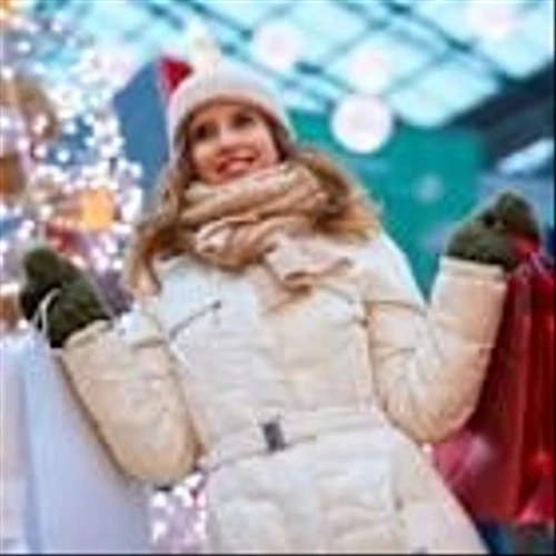 Busy Holiday Shopping Season: 2 Companies Poised to Benefit