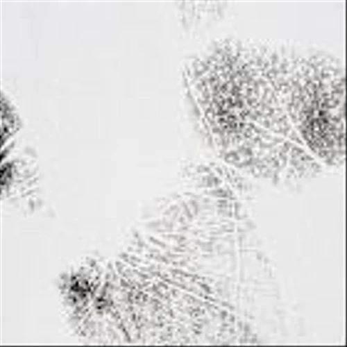 CPHI 2025: ‘handprint’ metric bridges pharma sustainability and economic value