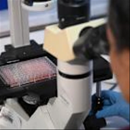 Why Biotech’s Rally Can Last This Time