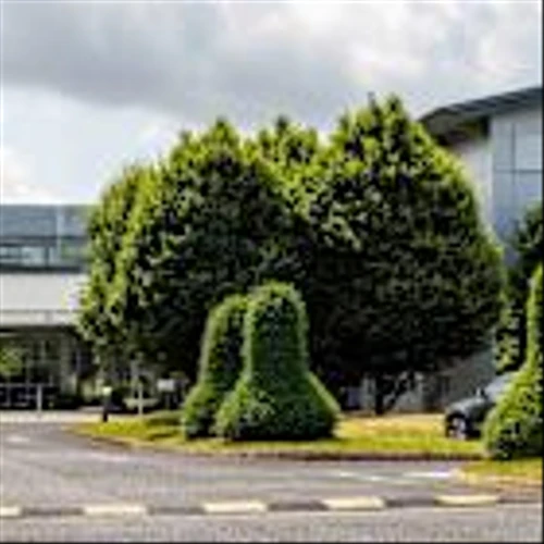 Prediction: AMD Stock Will Soar Over the Next 5 Years. Here's 1 Reason Why.