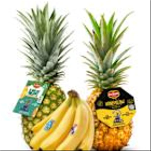 Fresh Del Monte Teams Up with Disney’s "Zootopia 2" in a Global Campaign to Bring Over 500 Million Co-branded Fruit Stickers to Grocery Stores