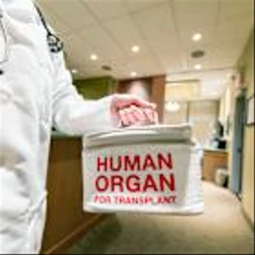 1 Compelling Reason to Buy and Hold TransMedics Group Stock Forever