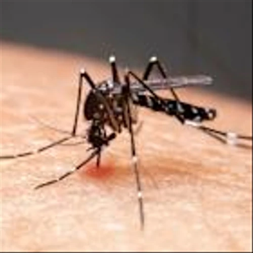 Finally: A malaria drug made just for babies has been approved—here’s why it matters