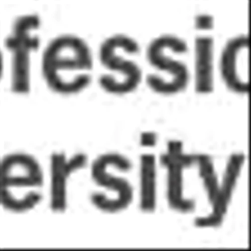 Professional Diversity Network, Inc. Announces Strategic Cooperation MOU with OOKC Group to Establish Compliance-Driven Web 3.0 Joint Venture