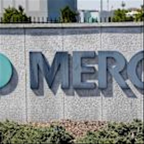 Constellation and Meta, Merck, Snowflake: Trending Tickers