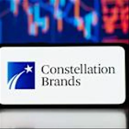 How Is Constellation Brands' Stock Performance Compared to Other Food & Beverage Stocks?