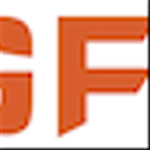 Guardforce AI Appoints Yuting Zuo as Chief Financial Officer