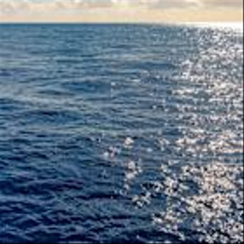 Petrobras to buy Petronas’ 50% Campos Basin stakes for $450m