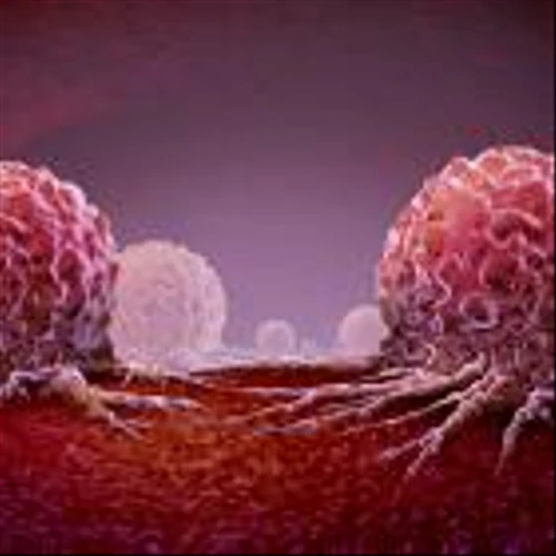 Compugen receives FDA approval for Phase I trial of solid tumour treatment