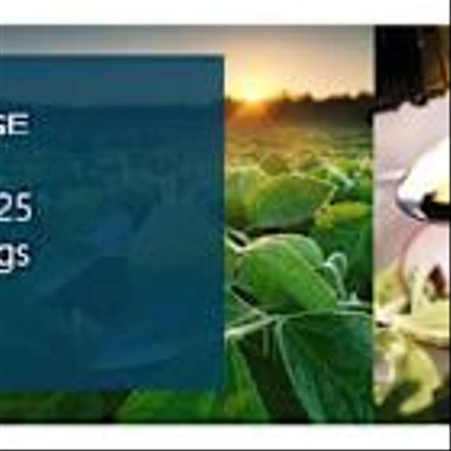 Bunge Reports Fourth Quarter and Full-Year 2025 Results