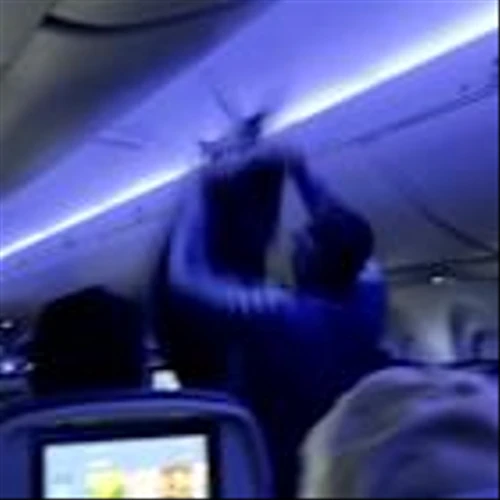 Delta flight delayed because 2 pigeons sneaked aboard a plane in Minneapolis
