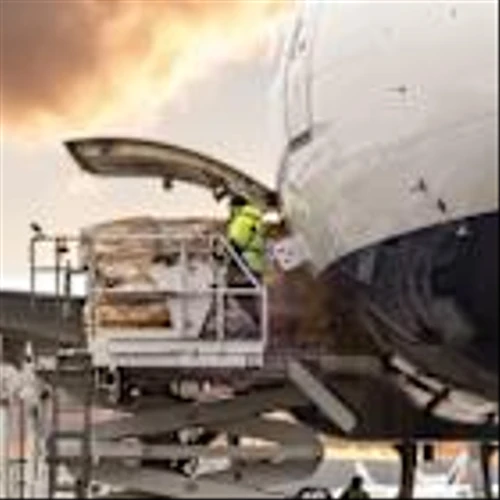 Freightos Leads The Pack With Two Other Promising Penny Stocks