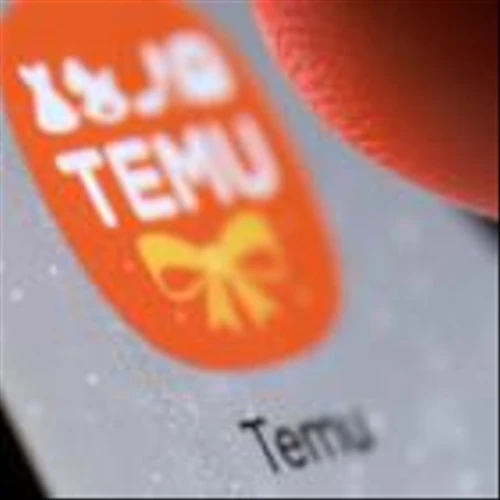 Temu Owner PDD Posts Surprise Profit Drop