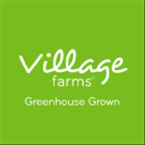 Village Farms International Inc (VFF) Q3 2024 Earnings Call Highlights: Strong Growth in Fresh ...